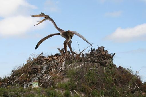 Łeba Park - Jurajski Park Dinozaurów