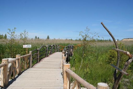Łeba Park - Jurajski Park Dinozaurów
