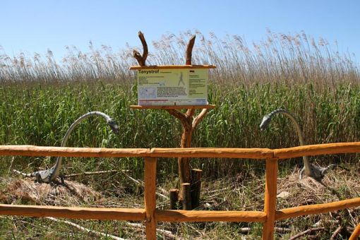 Łeba Park - Jurajski Park Dinozaurów