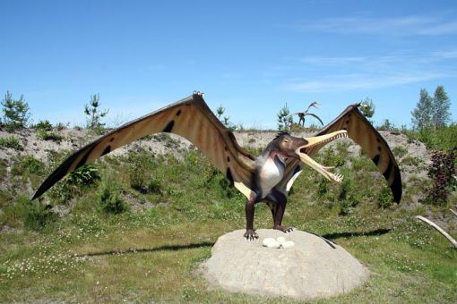 Łeba Park - Jurajski Park Dinozaurów