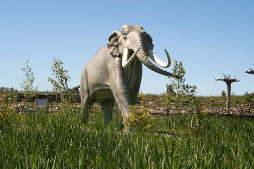 Łeba Park - Jurajski Park Dinozaurów