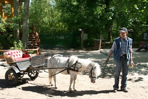 Łeba Park - Jurajski Park Dinozaurów